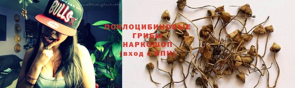 COCAINE Абаза